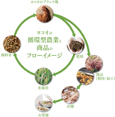 ヨコオの循環型農業と商品のフローイメージ