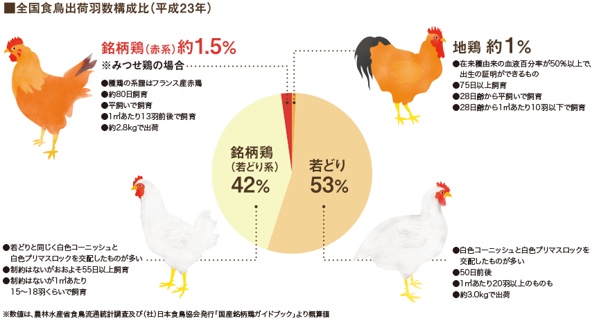 若どり、地鶏、銘柄鶏の違い 全国食鳥出荷羽数構成比 若鶏53% 地鶏1% 銘柄鶏(若鶏系)42% 銘柄鶏(赤系 赤系銘柄鶏みつせ鶏の場合)4%
